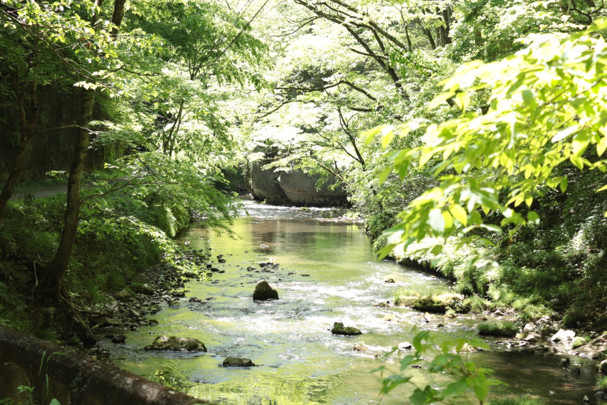 のぶる撮影 写真素材